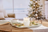 Chesapeake Bay Candle Medium Candle - Winter Sea