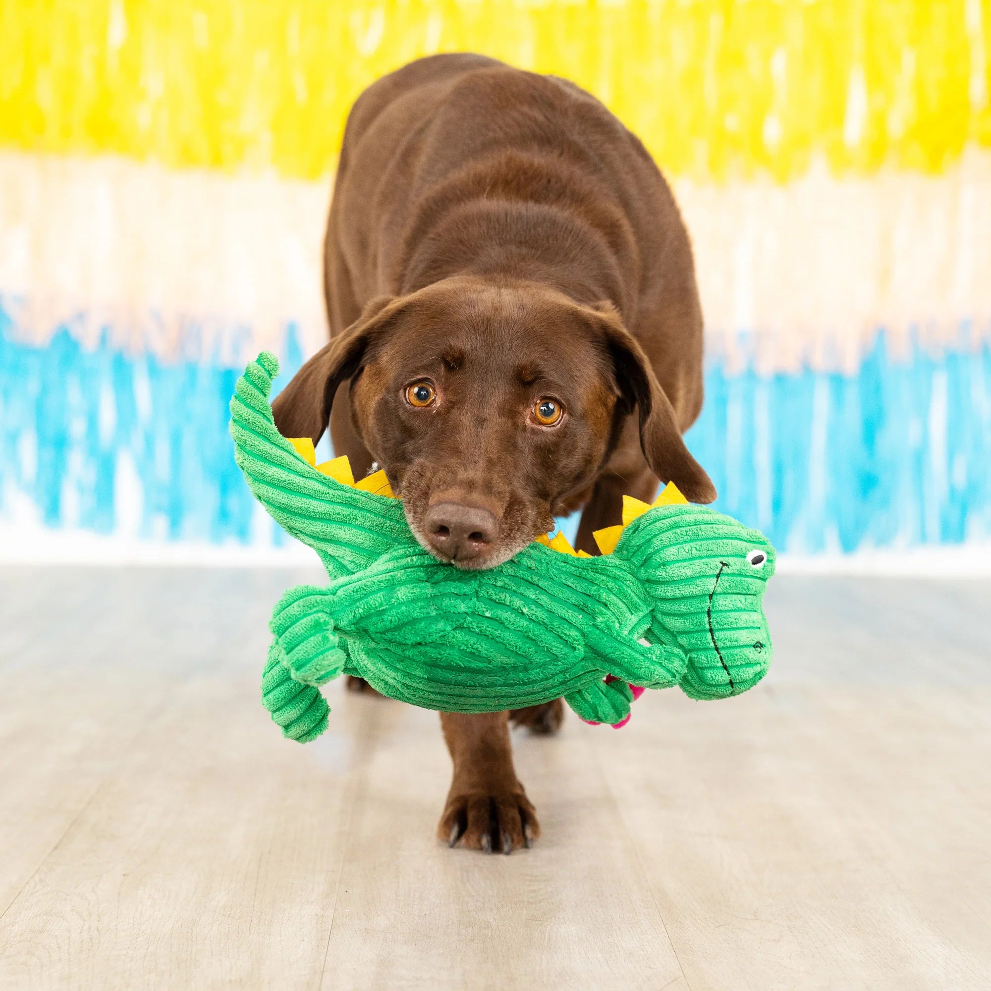 Petshop Thorny but Cute Plush Dog Toy