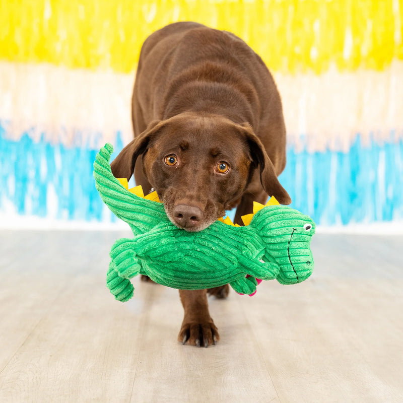 Petshop Thorny but Cute Plush Dog Toy