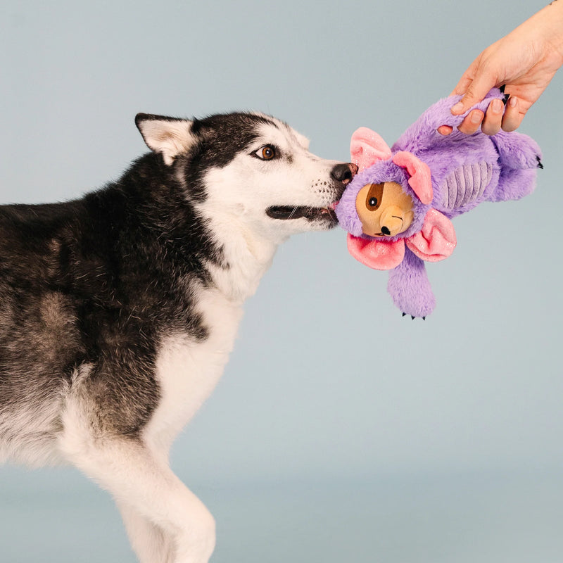 Petshop I'll Grow On You Plush Dog Toy