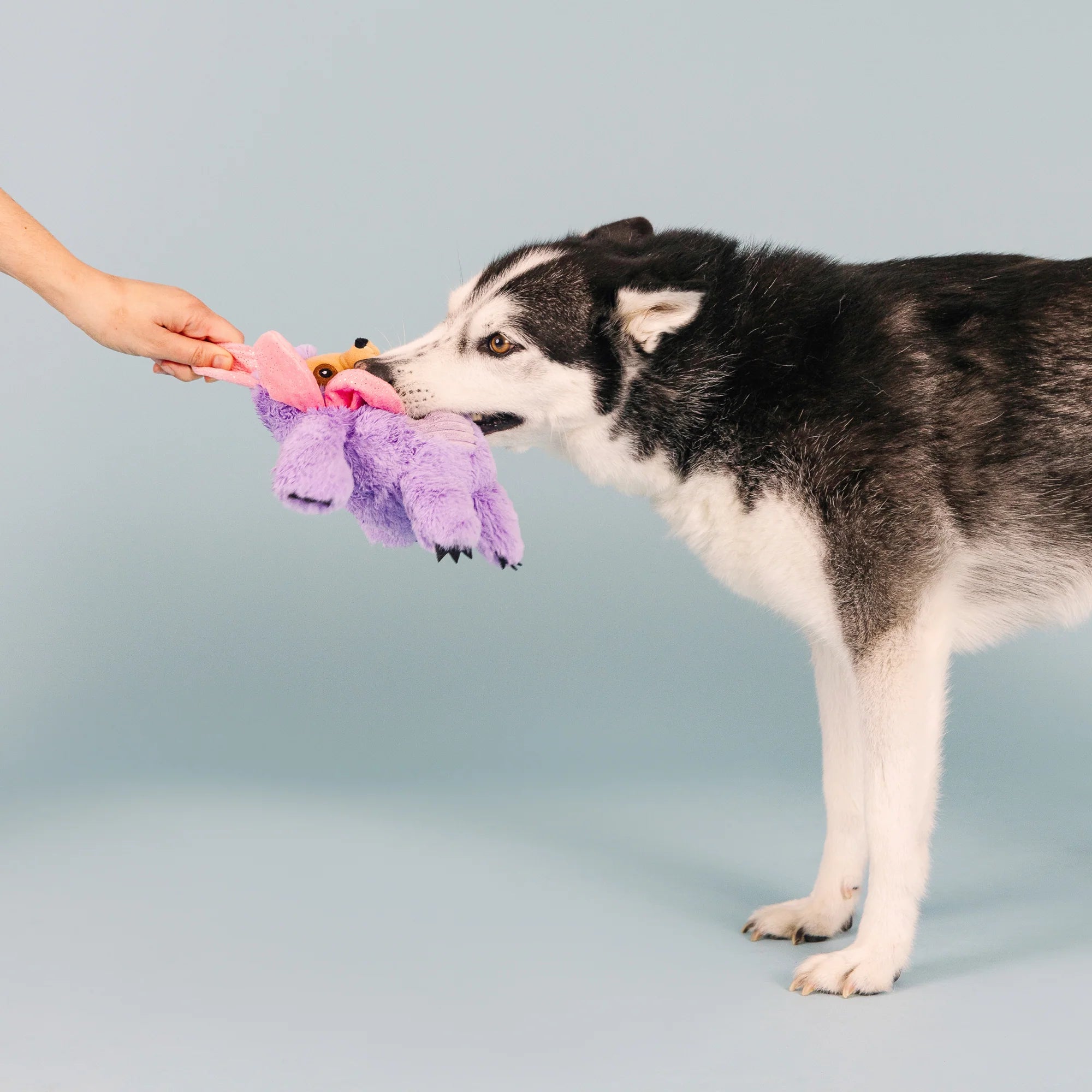Petshop I'll Grow On You Plush Dog Toy