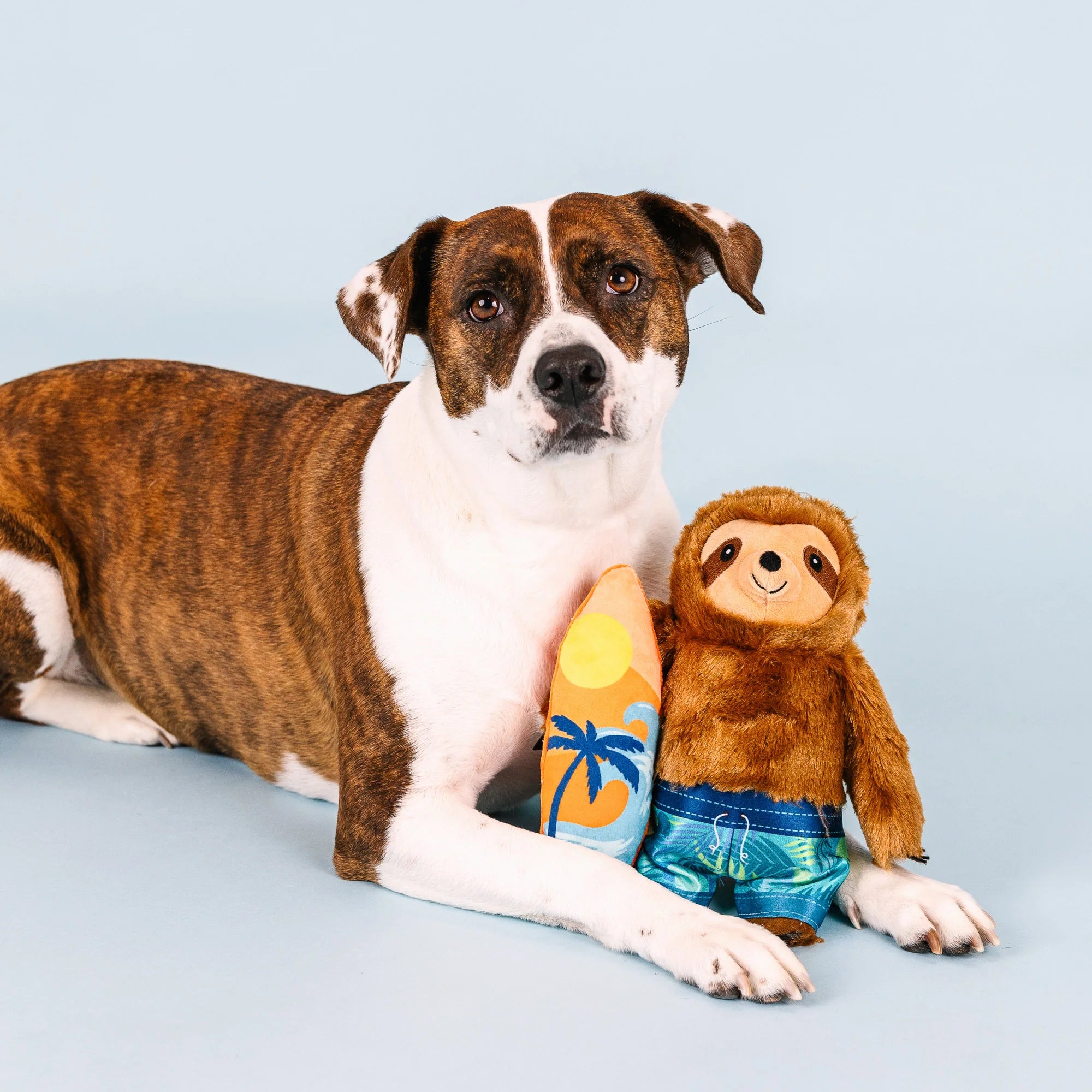 Petshop Makin' Waves Plush Dog Toy