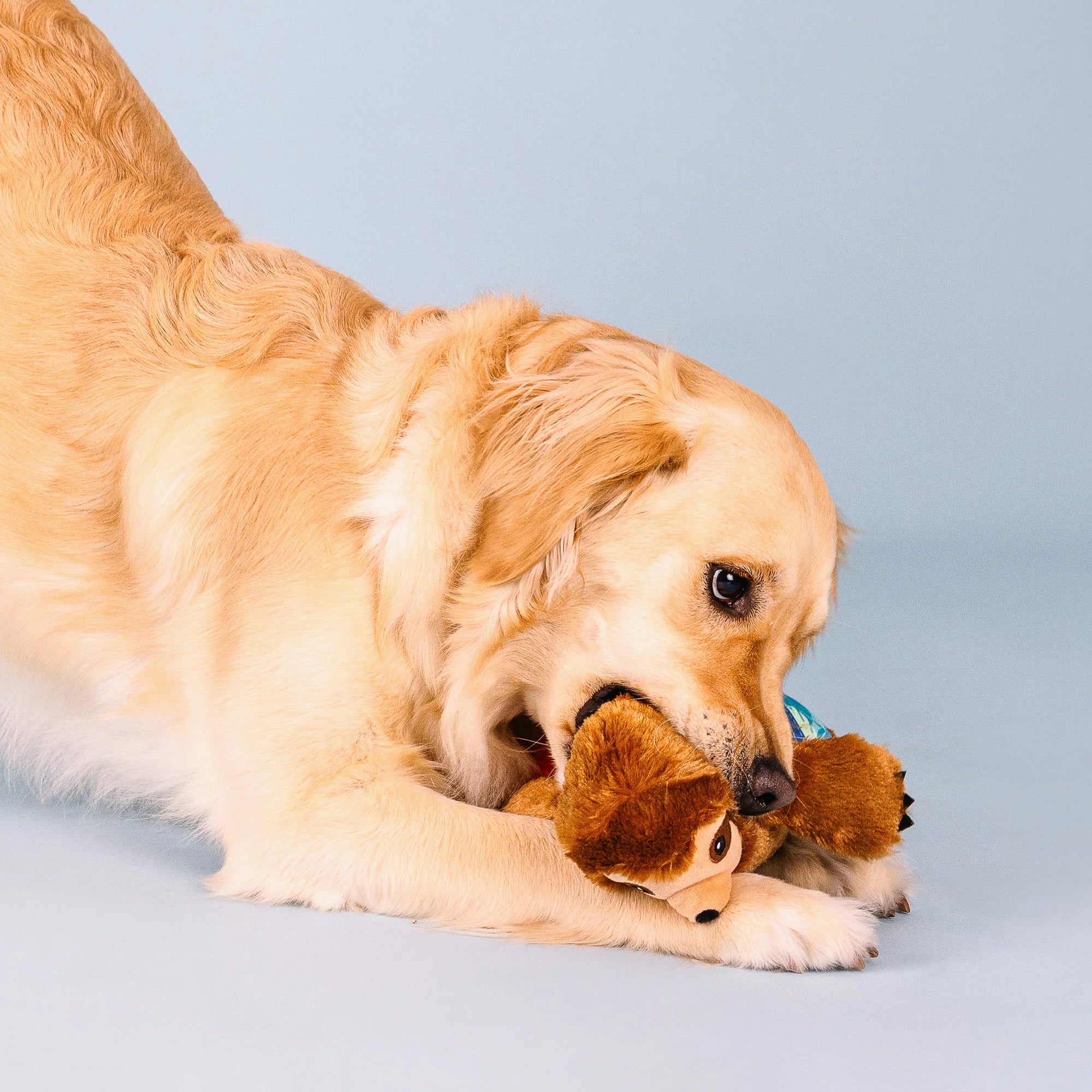 Petshop Makin' Waves Plush Dog Toy