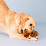 Petshop Makin' Waves Plush Dog Toy
