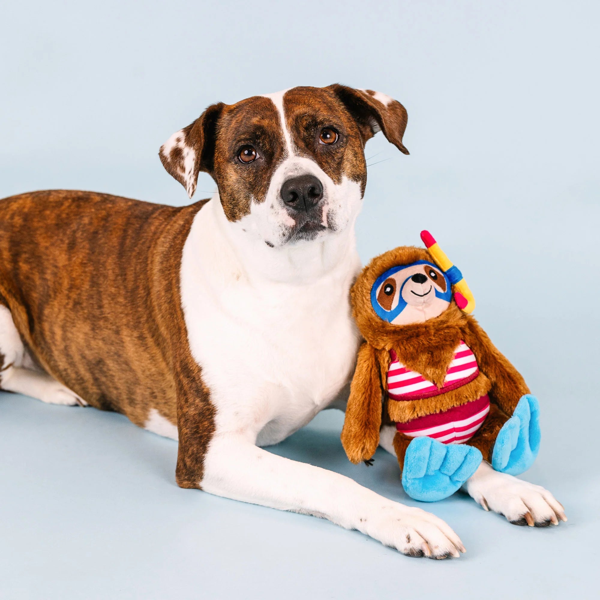 Petshop Swimmin' With The Fishes Plush Dog Toy