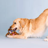 Petshop Swimmin' With The Fishes Plush Dog Toy