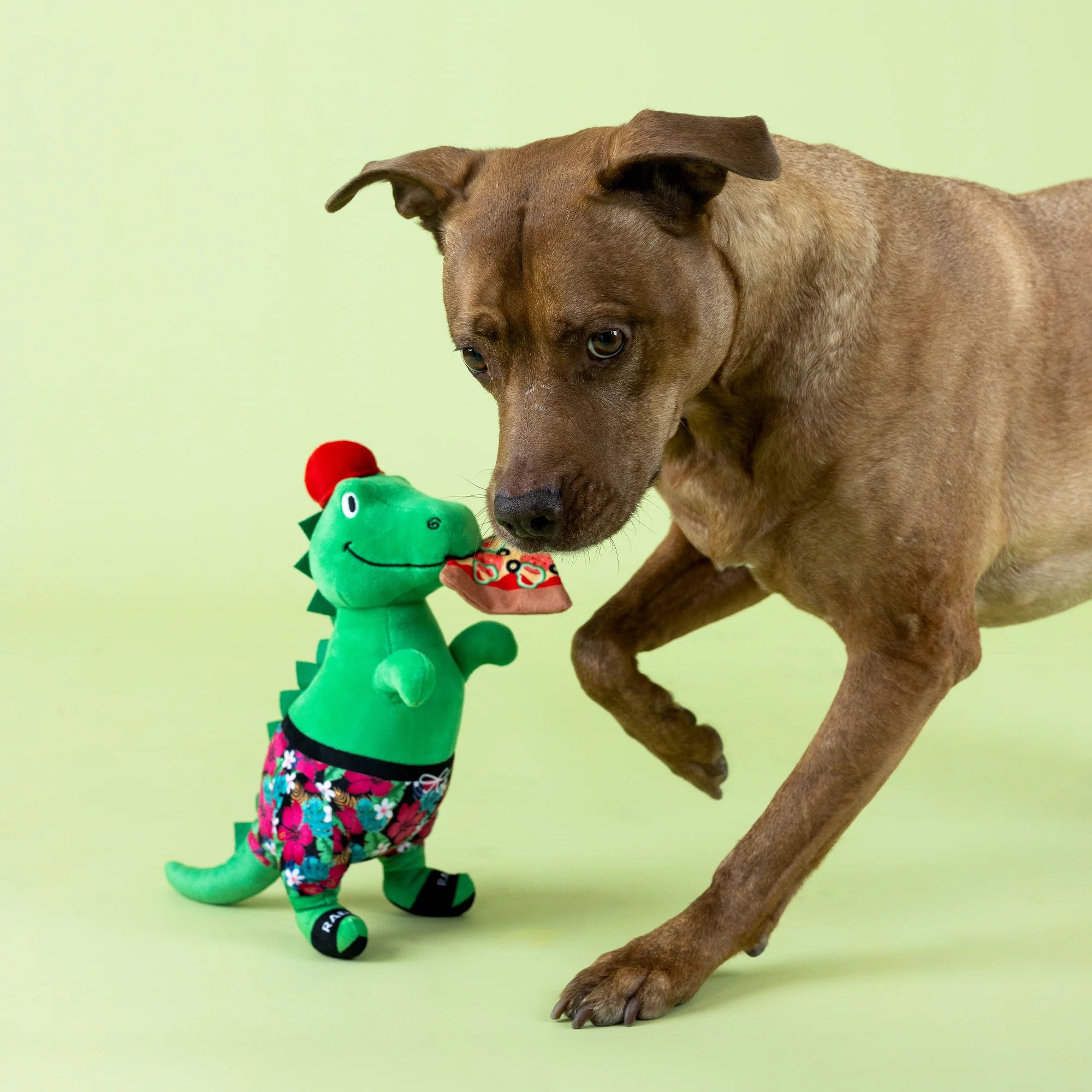 Petshop Pizzasaurus Rex Plush Dog Toy