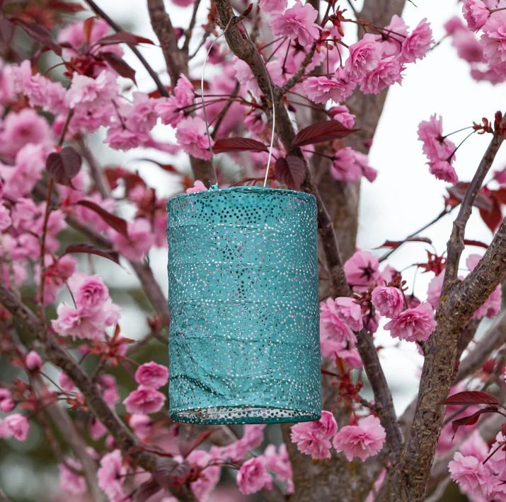 Allsop Home & Garden Soji Stella Cylinder 7.5" Solar Lantern