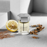 Yves Saint Laurent L'Homme Eau De Toilette Spray - 3.3 oz.
