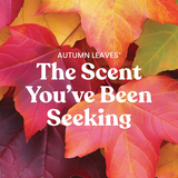 Yankee Candle 3-Wick Candle - Autumn Leaves