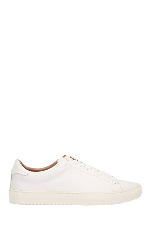 Frye Mens Astor Low Lace Sneakers