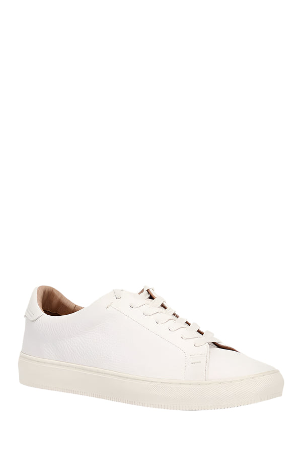 Frye Mens Astor Low Lace Sneakers