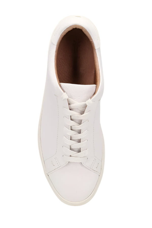 Frye Mens Astor Low Lace Sneakers