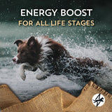 Wholesomes High Energy Dog Food - 40 lbs.