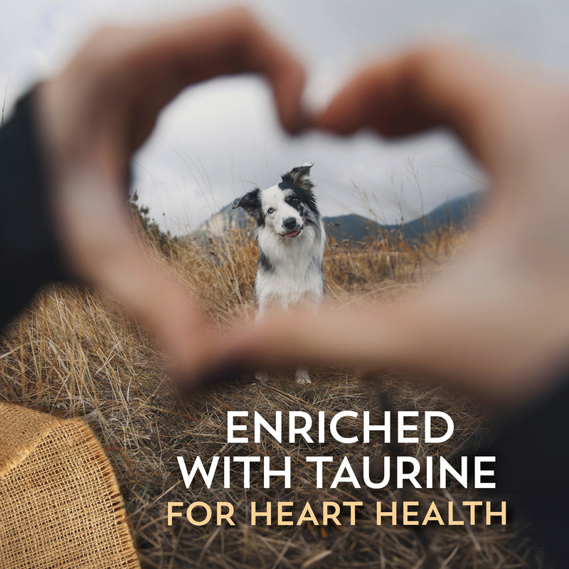 Wholesomes Sensitive Skin & Stomach with Lamb Protein Dog Food - 30 lbs.