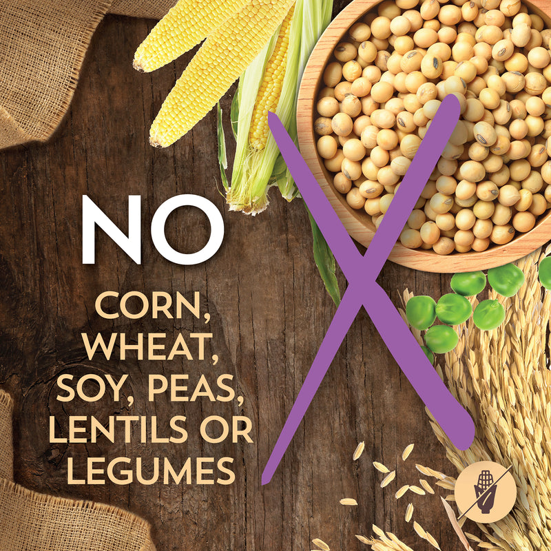 Wholesomes Sensitive Skin & Stomach with Lamb Protein Dog Food - 30 lbs.