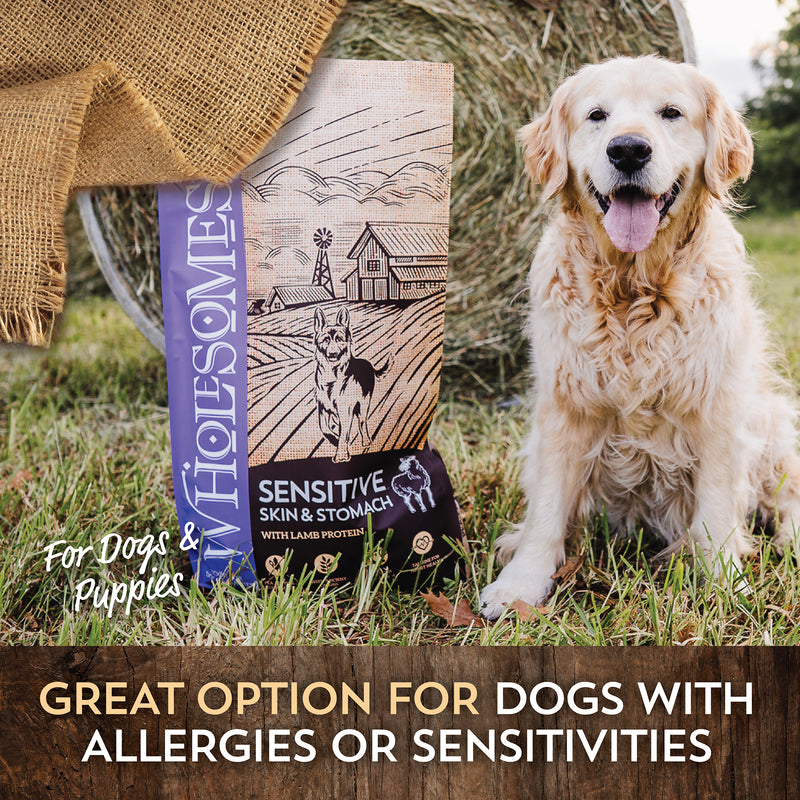 Wholesomes Sensitive Skin & Stomach with Lamb Protein Dog Food - 30 lbs.