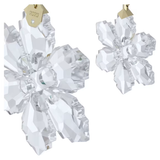 Swarovski Annual Edition Ornament Set 2026