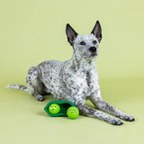 Petshop We Comee in Peas Latex Dog Toy