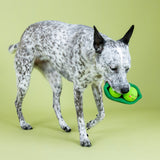 Petshop We Comee in Peas Latex Dog Toy