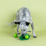 Petshop We Comee in Peas Latex Dog Toy