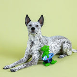 Petshop Good Vibes High Tides Latex Dog Toy