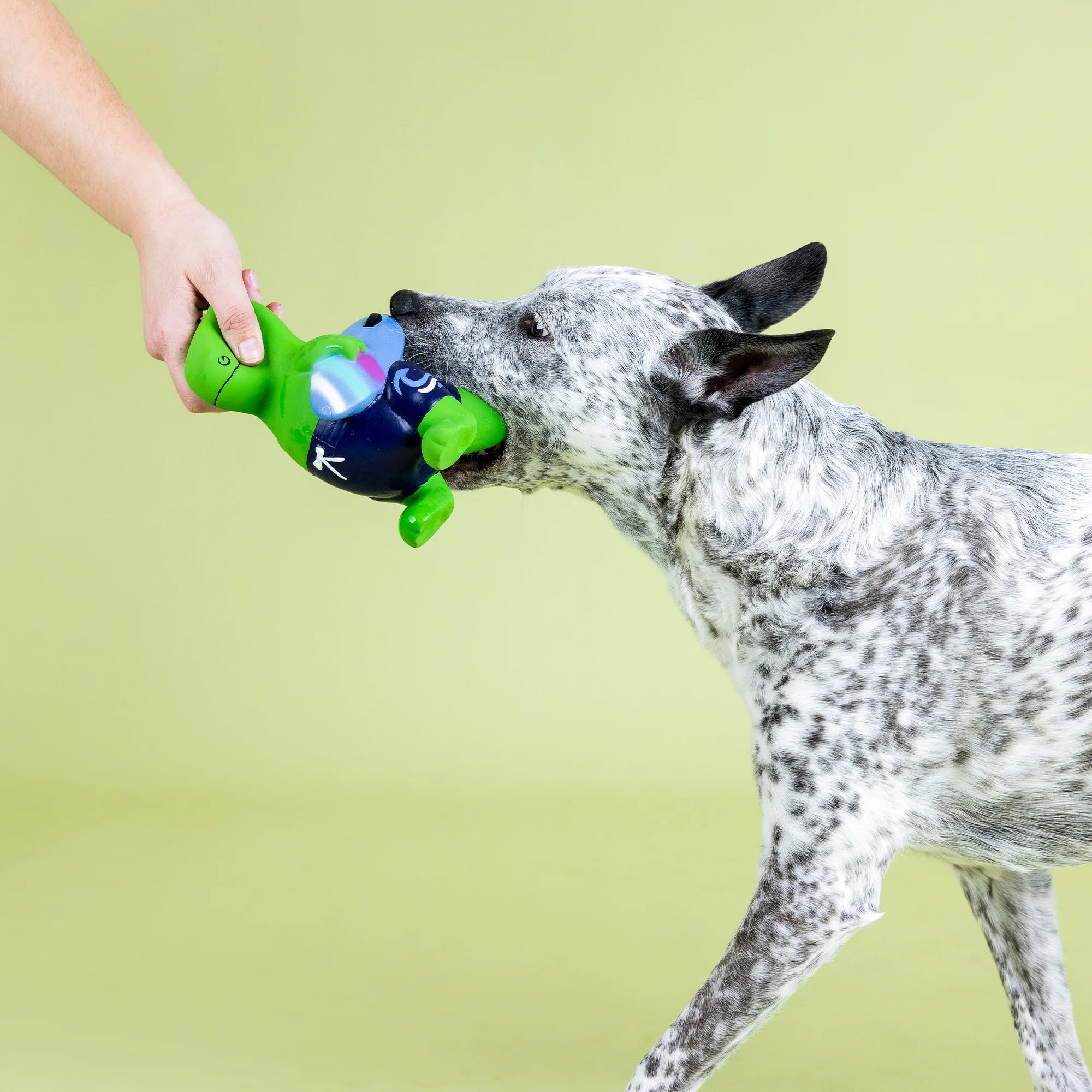Petshop Good Vibes High Tides Latex Dog Toy