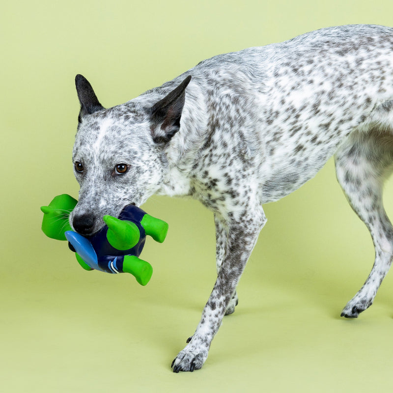 Petshop Good Vibes High Tides Latex Dog Toy