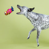 Petshop Eat, Sleep, Snorkel Latex Dog Toy