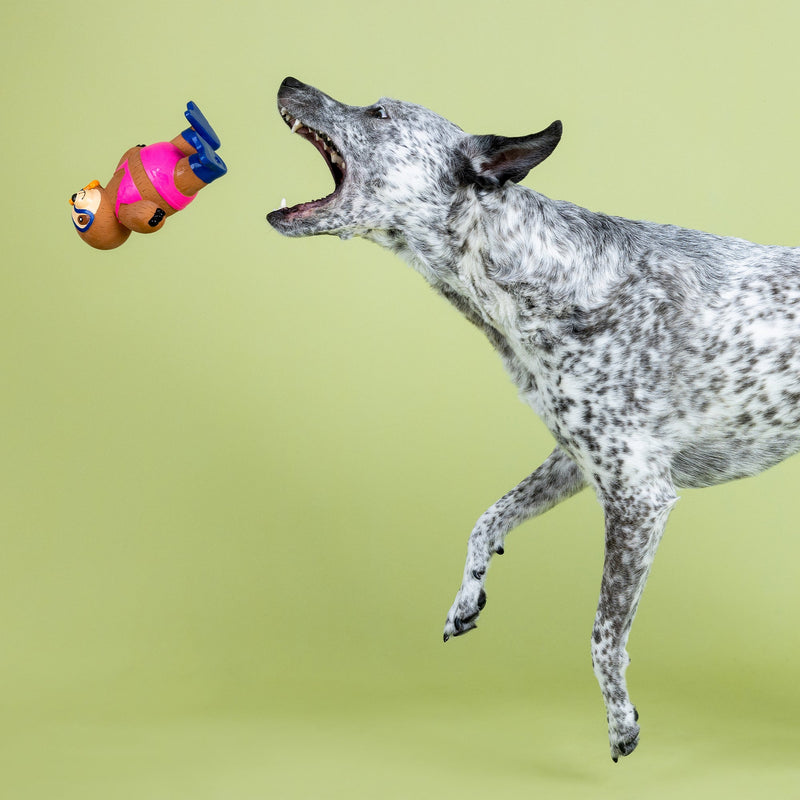 Petshop Eat, Sleep, Snorkel Latex Dog Toy