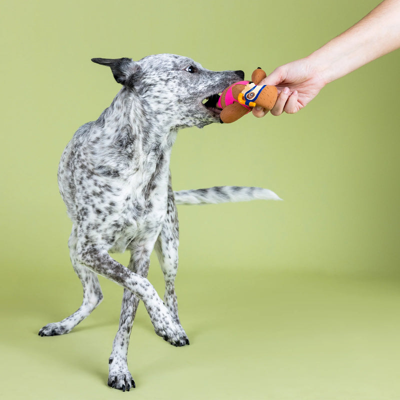 Petshop Eat, Sleep, Snorkel Latex Dog Toy
