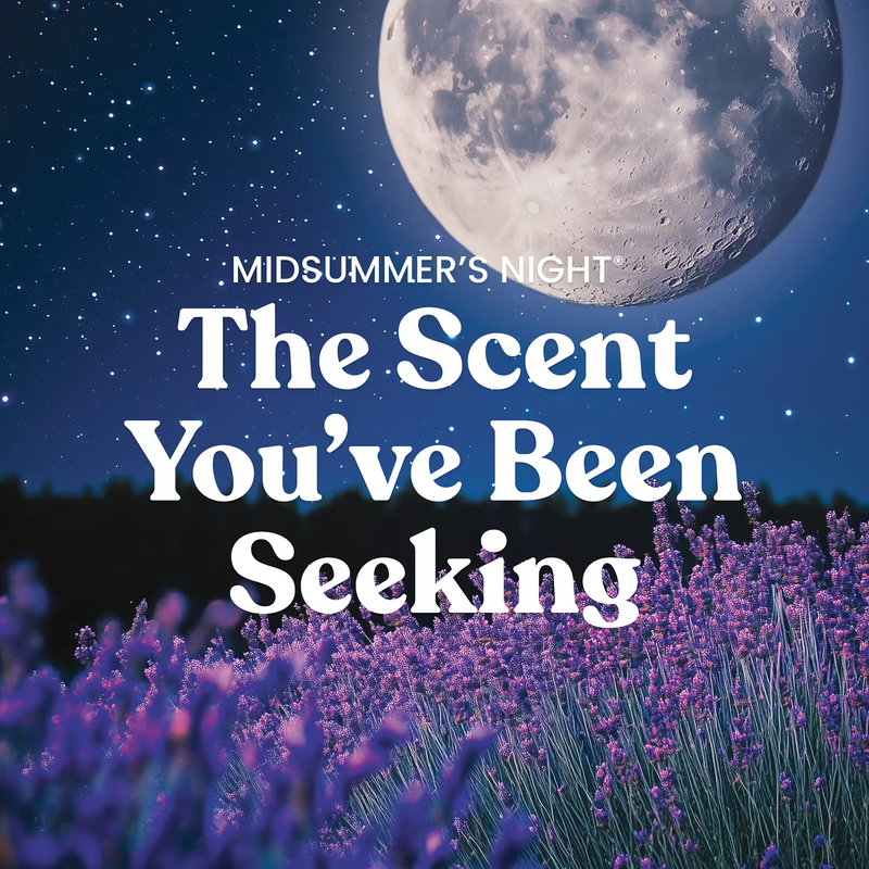 Yankee Candle Original Large Jar Candle - MidSummers Night