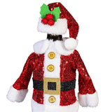 Evergreen Joyful Traditions Christmas Wine Bottle Costume