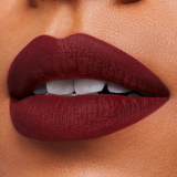 Estée Lauder Pure Color Matte Lipstick - After Hours