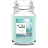 Yankee Candle Original Large Jar Candle - Catching Rays