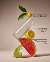 Bath & Body Works Wallflowers Refills - Watermelon Lemonade - 2-Pack