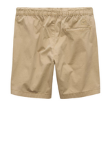 American Eagle Mens AE 7" Lived-In Trekker Shorts