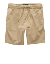 American Eagle Mens AE 7" Lived-In Trekker Shorts