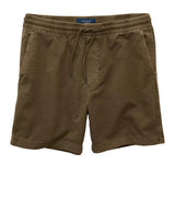 American Eagle Mens AE 7" Lived-In Trekker Shorts