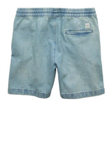 American Eagle Mens AE 7" Lived-In Trekker Shorts