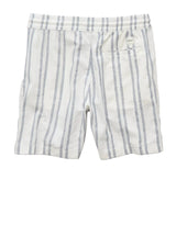 American Eagle Mens AE 7" Lived-In Trekker Shorts