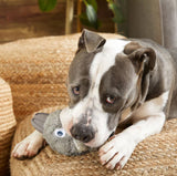 BARK Hare Raiser Rabbit Rubber Super Chewer Dog Toy - Medium/Large