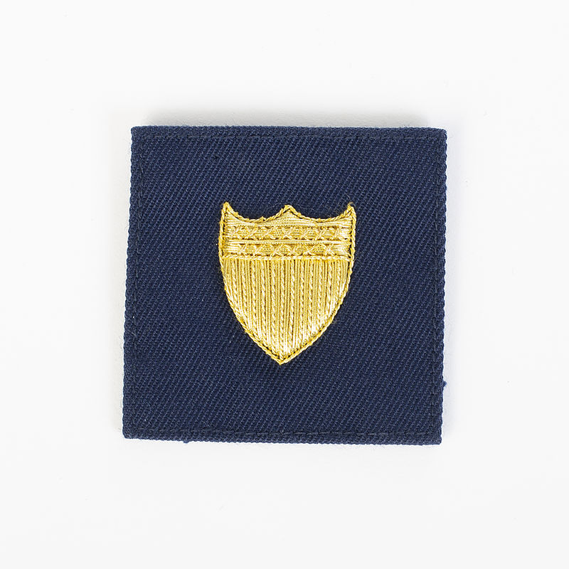 Vanguard CG Sleeve Device SYN GLD/SERGE CPO/EM