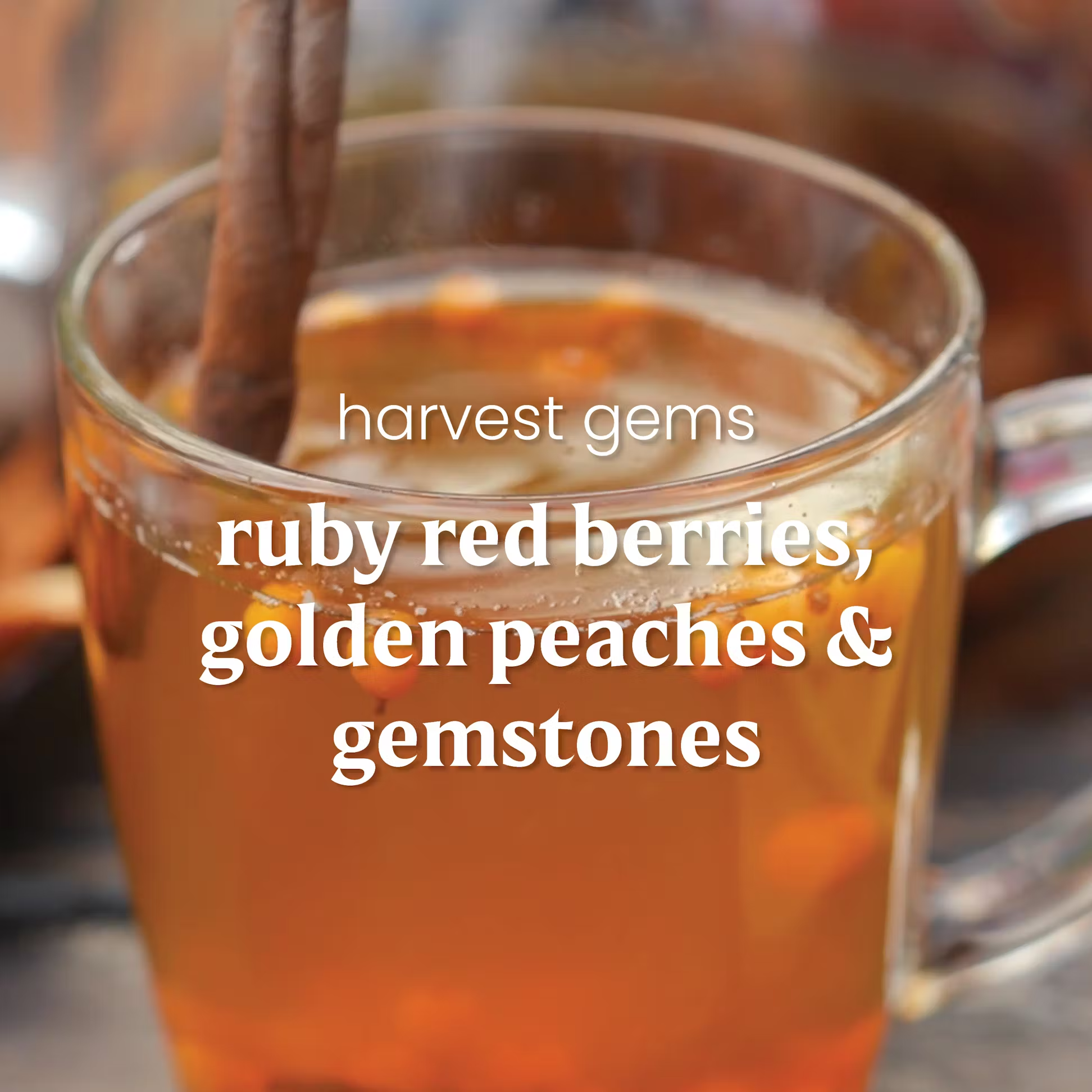 Yankee Candle ScentPlug Refill - Harvest Gems