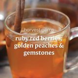 Yankee Candle ScentPlug Refill - Harvest Gems