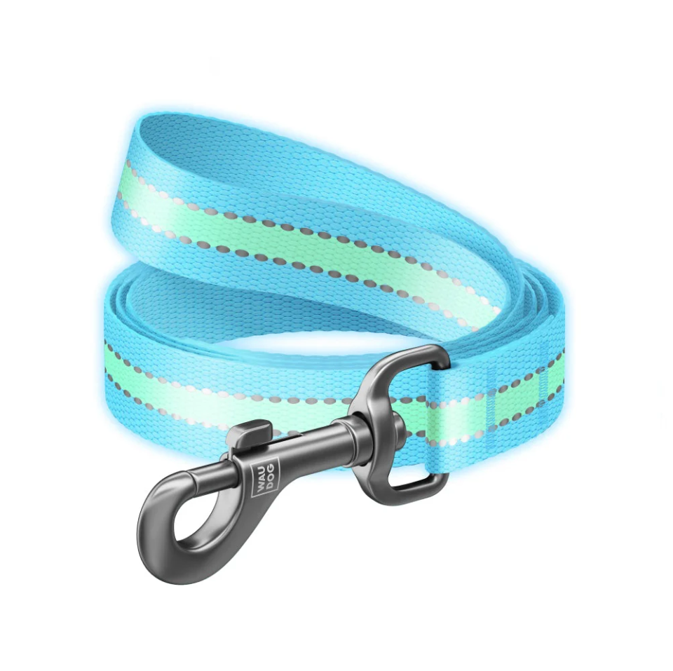 WAUDOG Nylon Reflective Dog Leash - Size Large