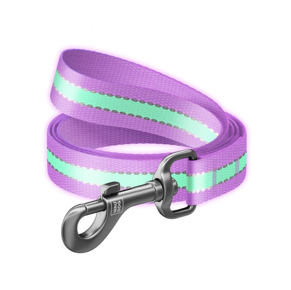 WAUDOG Nylon Reflective Dog Leash - Size Large