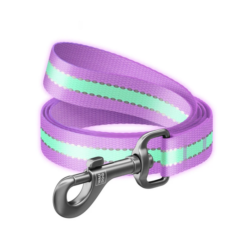 WAUDOG Nylon Reflective Dog Leash - Size Large