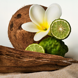 PHLUR Beach & Skin Hair & Body Mist - 3 oz.