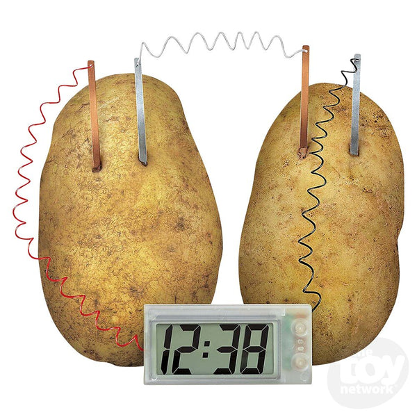 The Toy Network Green Science Potato Clock